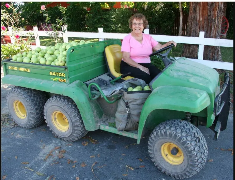 Discover the Intriguing Past: An In-depth Look at Forestville, CA History